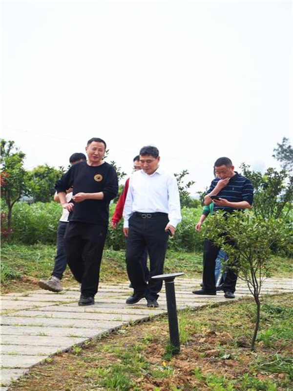 kbOX_1744357796588079407.jpg de9f31405c0343aba75d2b3c3fb2012f_wh426x639.jpg